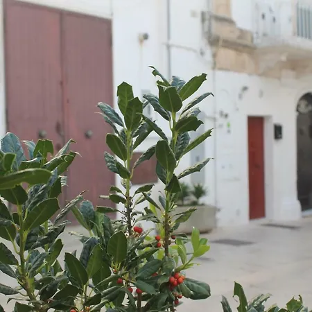 Apartamento La Casetta